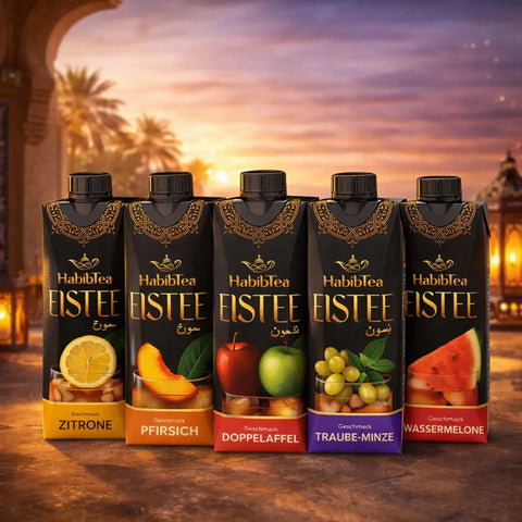 HabibTea Eistee Bundle Alle Sorten - 5x500ml Foodpaket