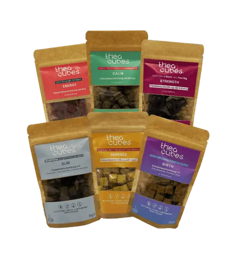 Überraschungs Thea Cubes Tee Foodpaket